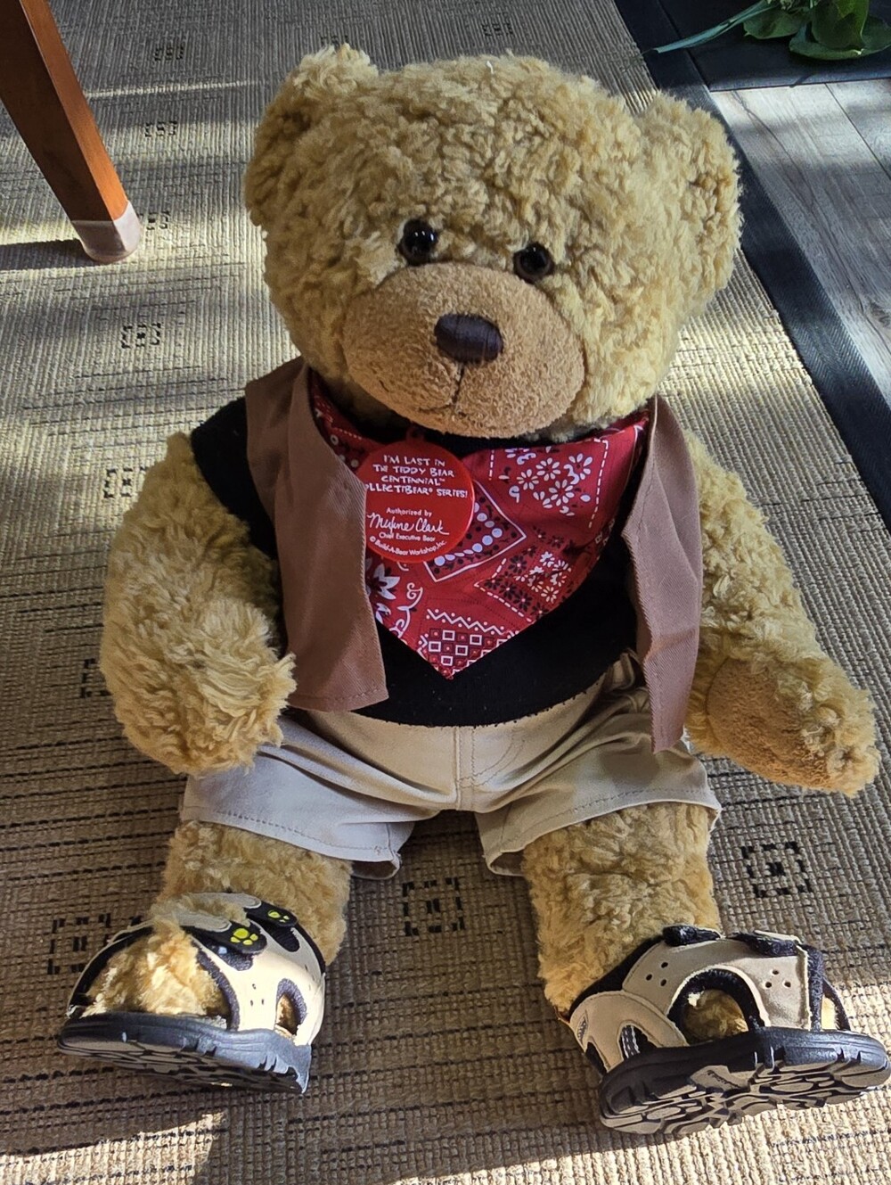 Limited Edition Last In Centennial Collectibear Series Build A Bear